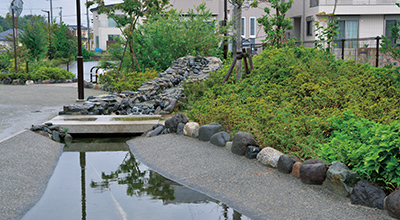 井戸水を活用した親水公園